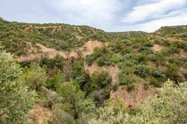 $3,550,000 | Whistling Winds Ranch, Silverton, TX 79257