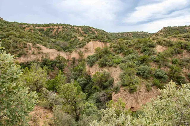 $3,550,000 | Whistling Winds Ranch, Silverton, TX 79257