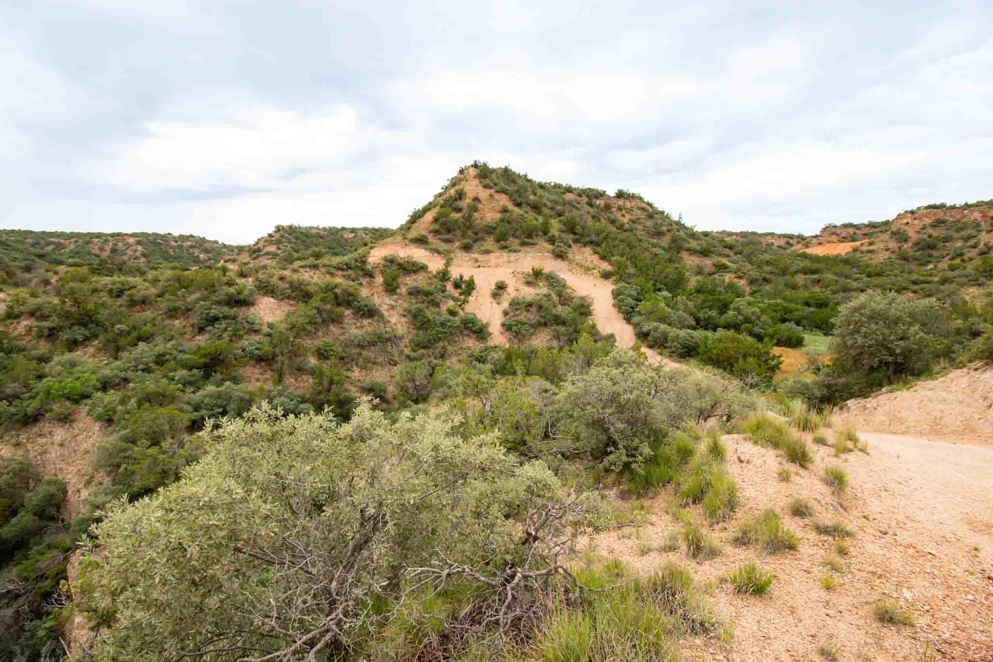 Whistling Winds Ranch Silverton, TX 79257 - Photo 50 of 140 Whistling_Winds-83