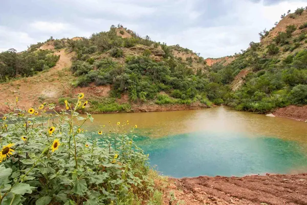 $3,550,000 | Whistling Winds Ranch, Silverton, TX 79257