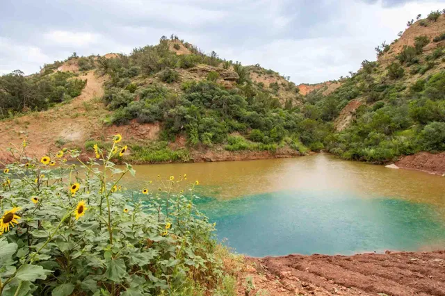 $3,550,000 | Whistling Winds Ranch, Silverton, TX 79257