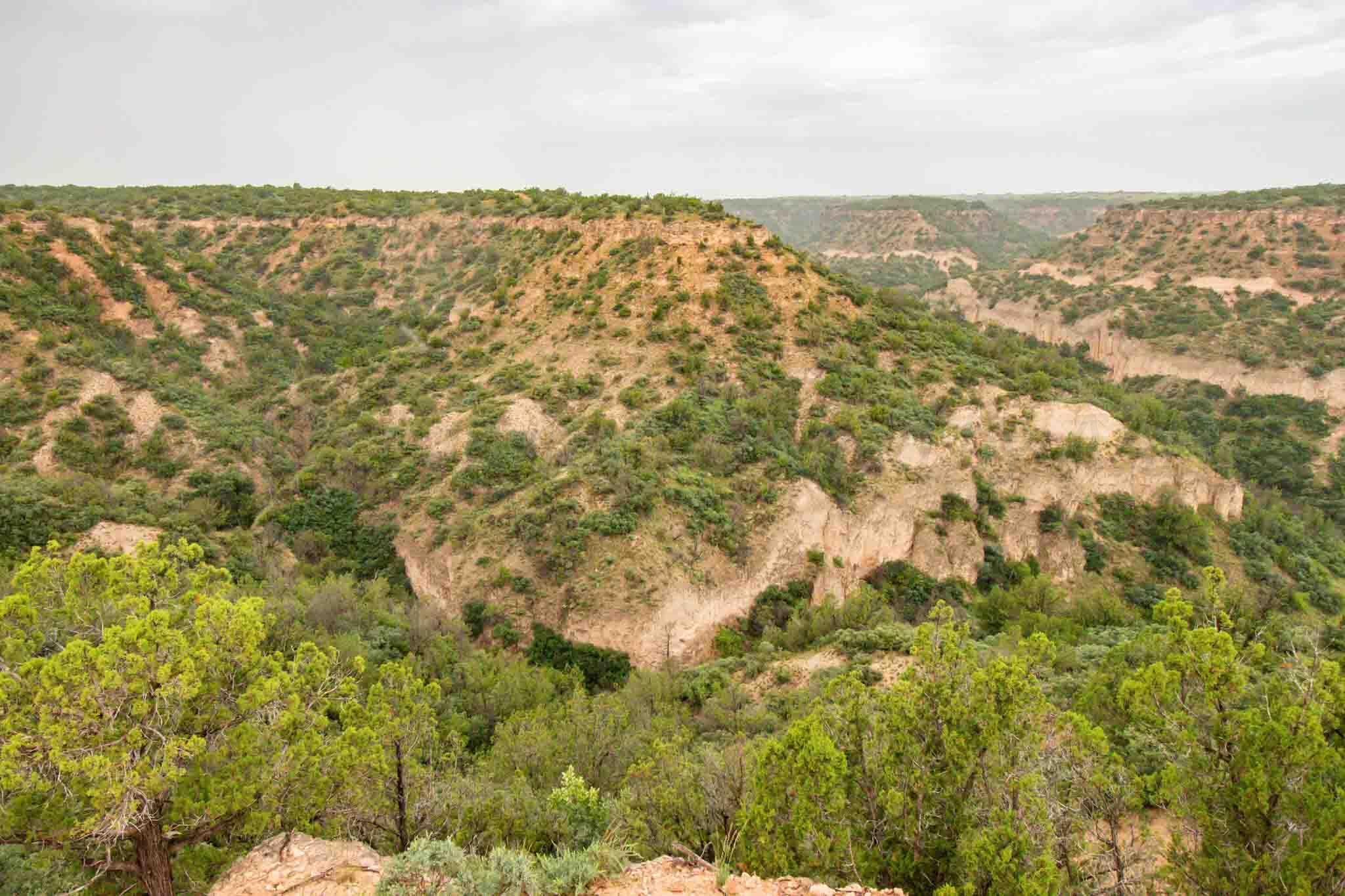 Whistling Winds Ranch Silverton, TX 79257 - Photo 62 of 140 Whistling_Winds-96