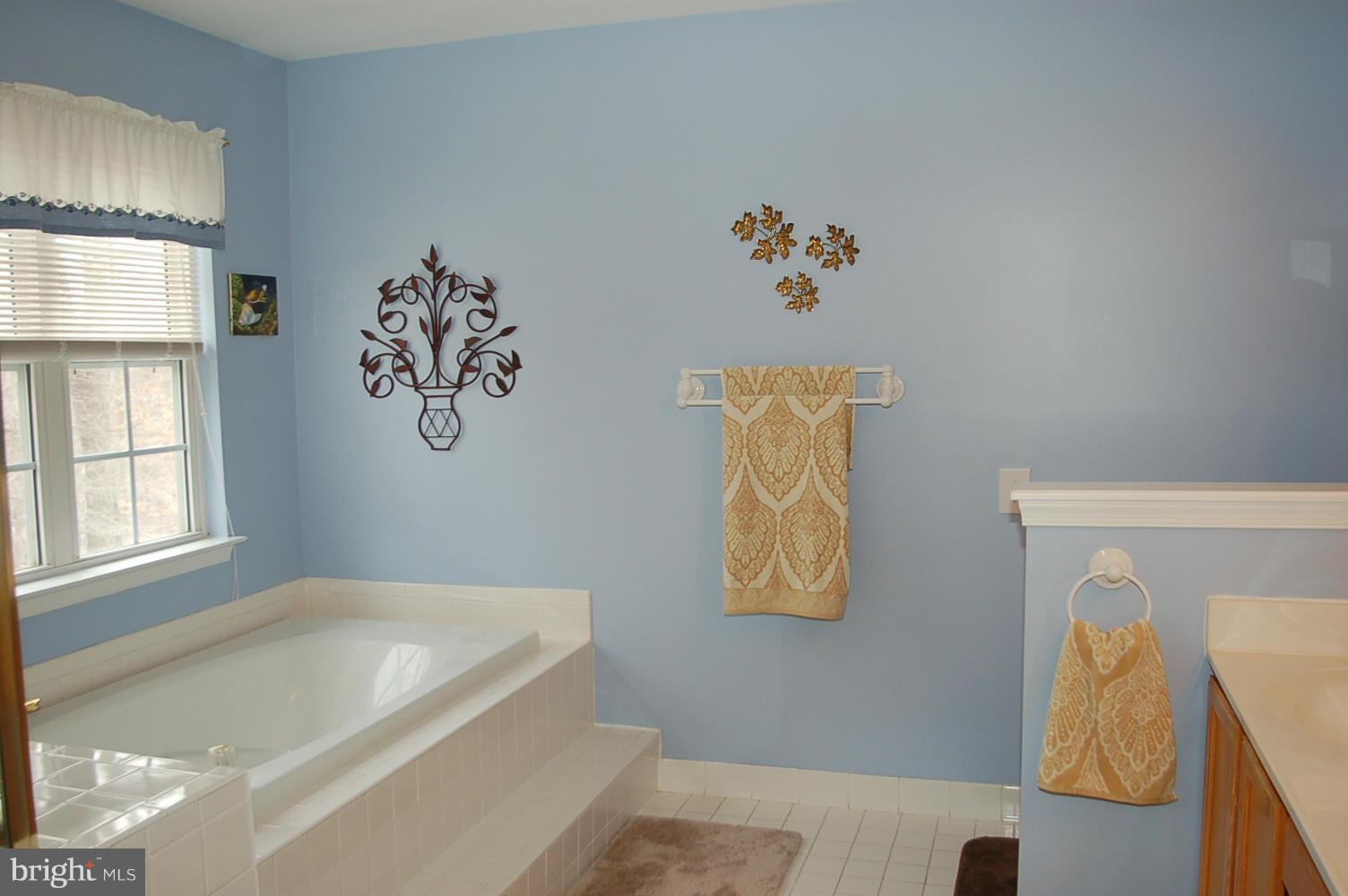 6421 Spring Forest Road Frederick, MD 21701 - Photo 17 of 30 Bath (Master)