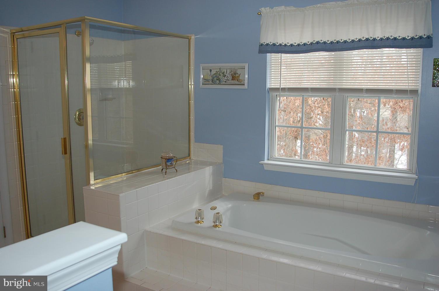 6421 Spring Forest Road Frederick, MD 21701 - Photo 18 of 30 Bath (Master)