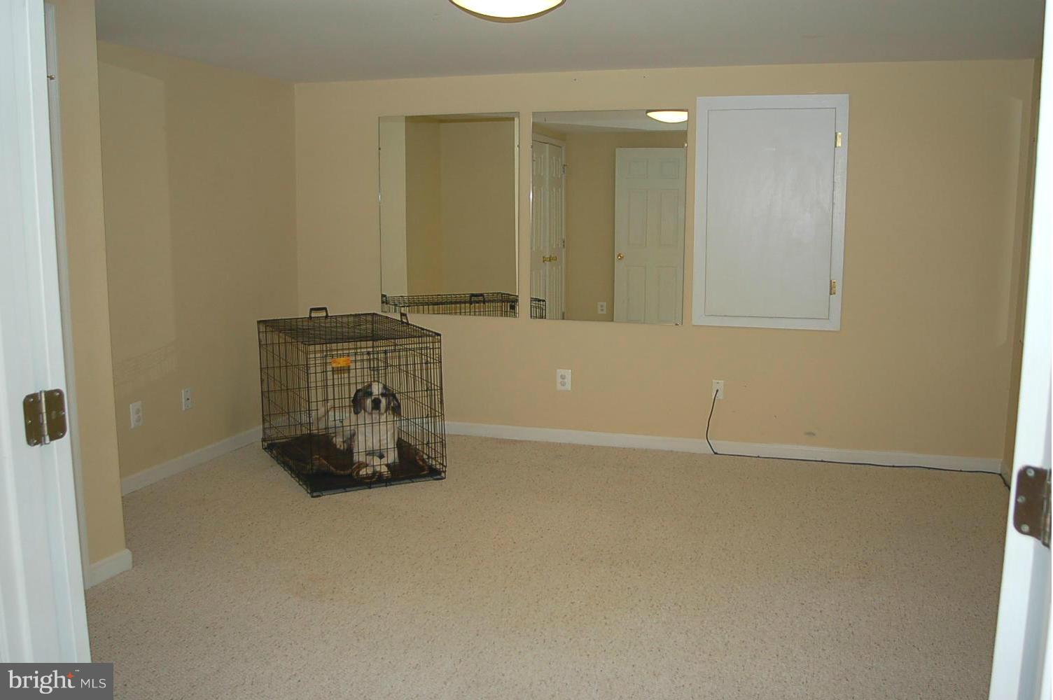 6421 Spring Forest Road Frederick, MD 21701 - Photo 22 of 30 Interior (General) lwr lvl rm