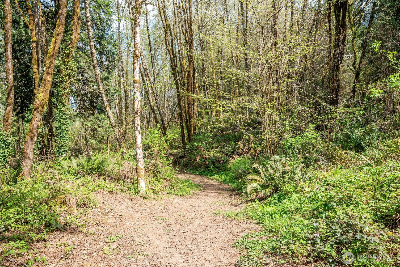 976 Sandy Bend Road Castle Rock, WA 98611 - Photo 27 of 36