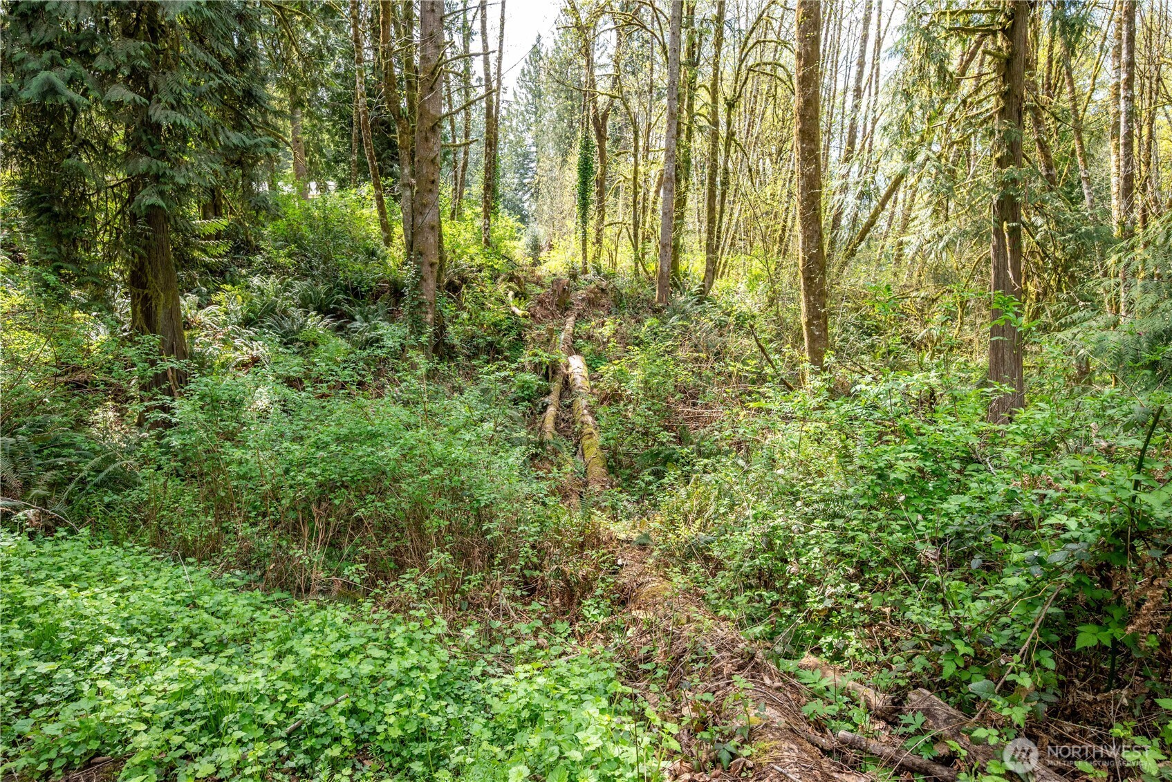 976 Sandy Bend Road Castle Rock, WA 98611 - Photo 28 of 36