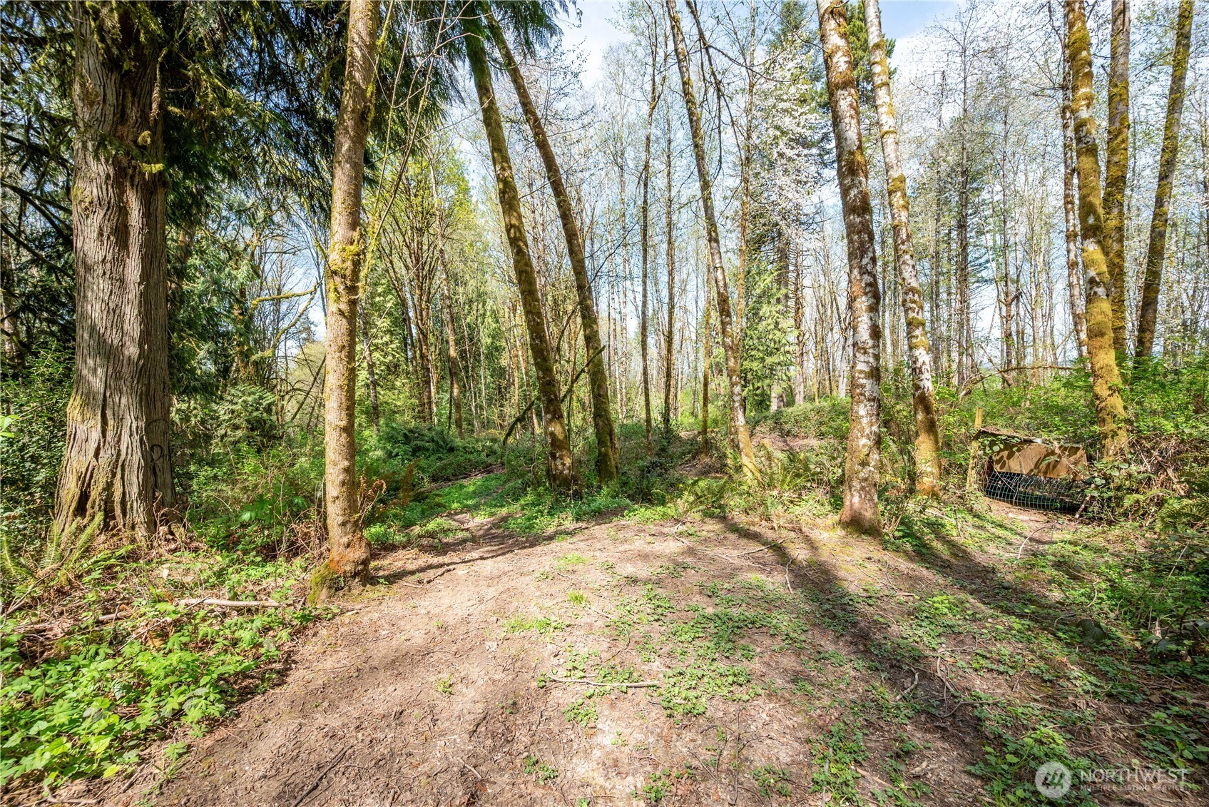 976 Sandy Bend Road Castle Rock, WA 98611 - Photo 29 of 36