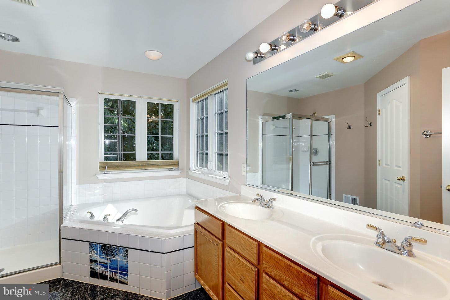 8017 Big Pool Road Laurel, MD 20724 - Photo 14 of 30 Bath (Master)