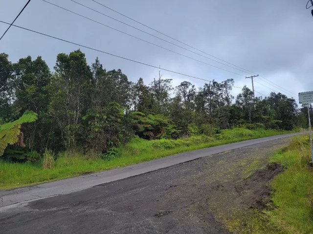 a view of a yard with potted plants and big trees