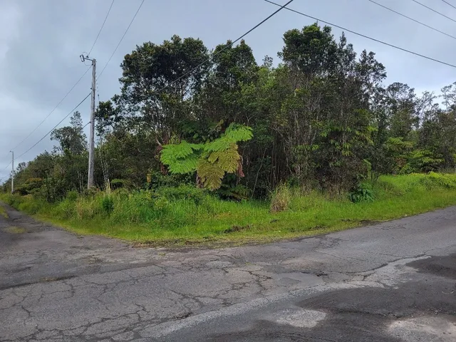 a backyard of a house with a yard and trampoline