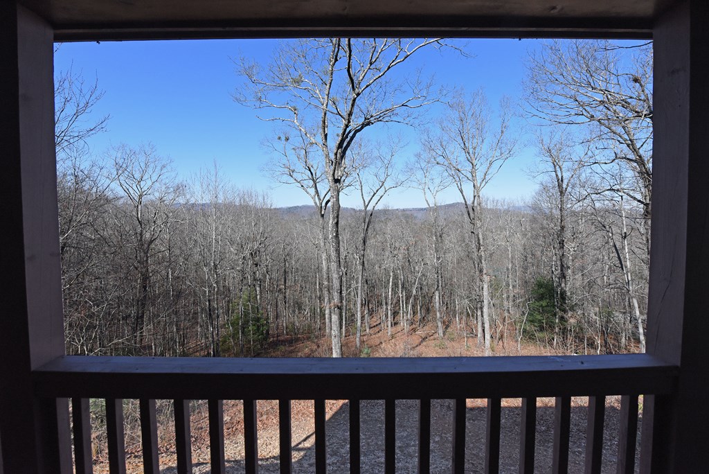 352 Sunrise Court Blue Ridge, GA 30513 - Photo 2 of 52 Gallery Image 2
