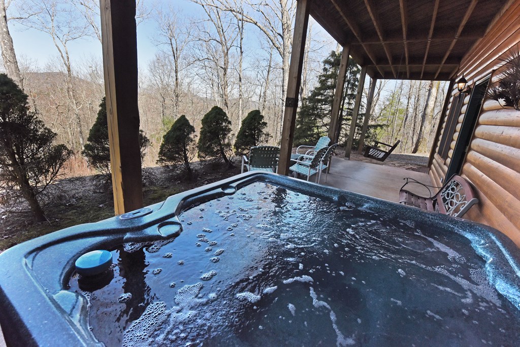 352 Sunrise Court Blue Ridge, GA 30513 - Photo 45 of 52 Gallery Image 45