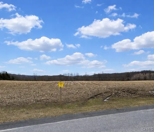$79,900 | 0 Skinner Road, Richfield Springs, NY 13439