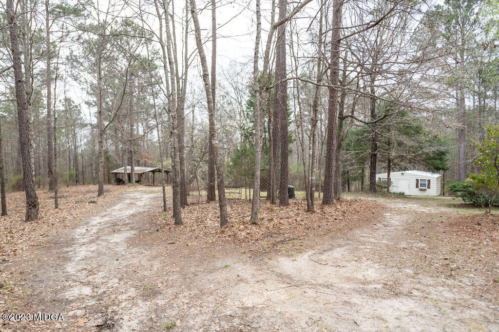 5933 Moseley Dixon Road Macon, GA 31220 - Photo 31 of 38 a view of backyard with trees