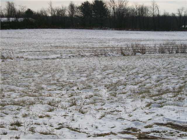 0 Southwest Julian Road Amanda, OH 43102 - Photo 3 of 3