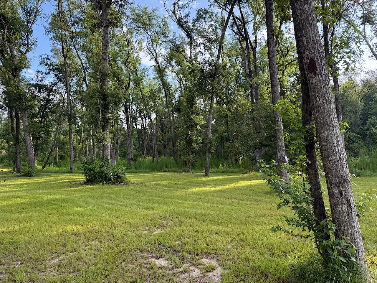 Vacant Northwest Vacant Nw Circle Road Madison, FL 32340 - Photo 8 of 18