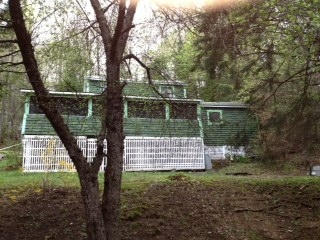 3 Windsor Pond Road Plainfield, MA 01070 - Photo 2 of 9 a view of tree in the middle of a yard
