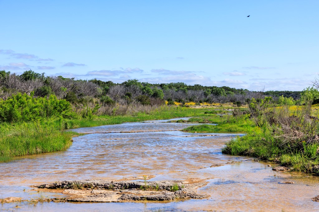 2937 Langes Mill Road Doss, TX 78618 - Photo 67 of 68 Threadgill Creek