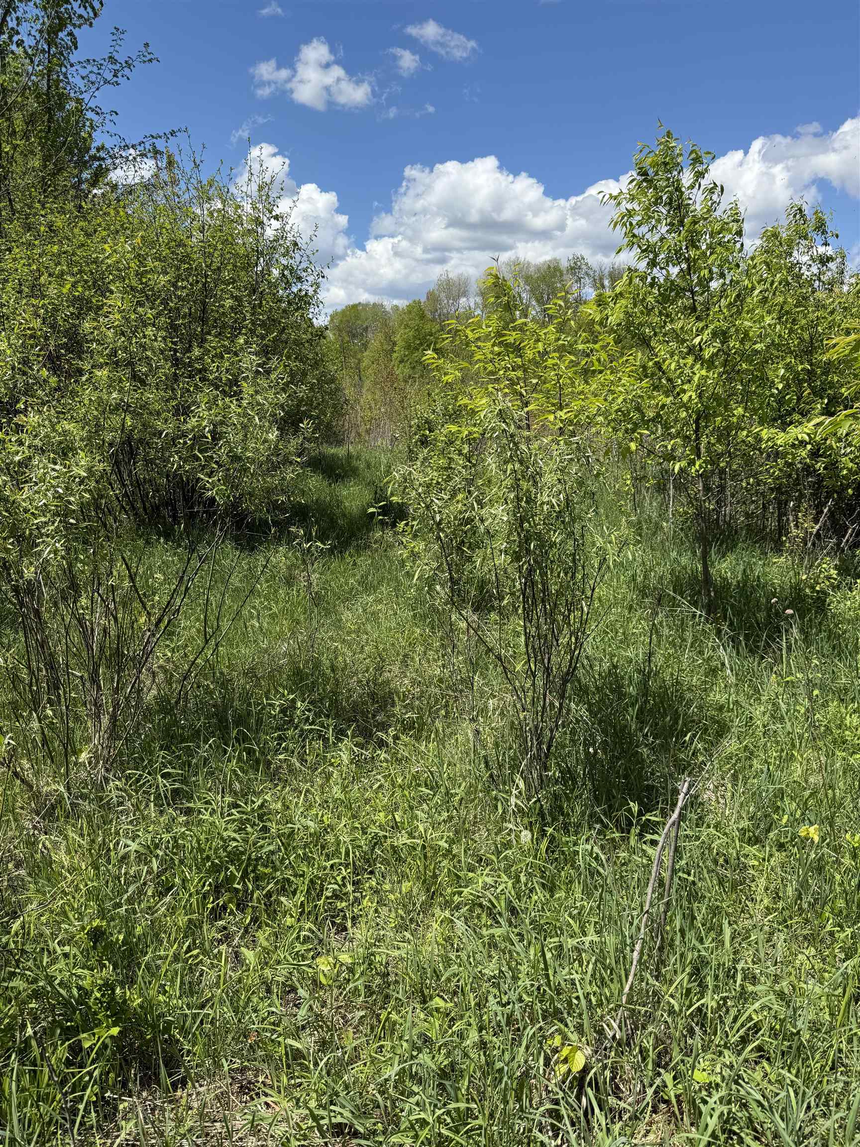 19 Mile Road Kingsley, MI 49649 - Photo 10 of 30