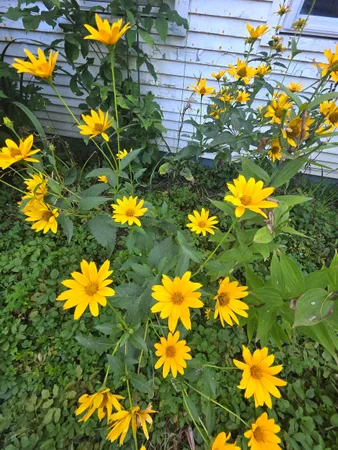 $195,000 | 1272 Highway 12, Northfield, VT 05663