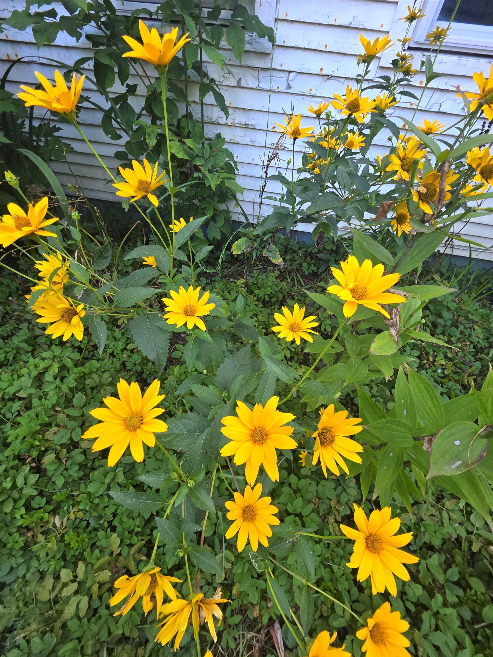 1272 Highway 12 Northfield, VT 05663 - Photo 38 of 49