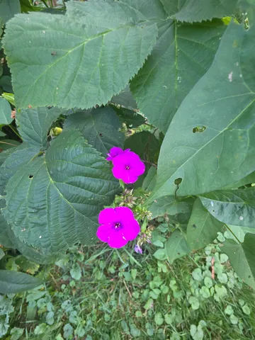 $215,000 | 1272 Highway 12, Northfield, VT 05663