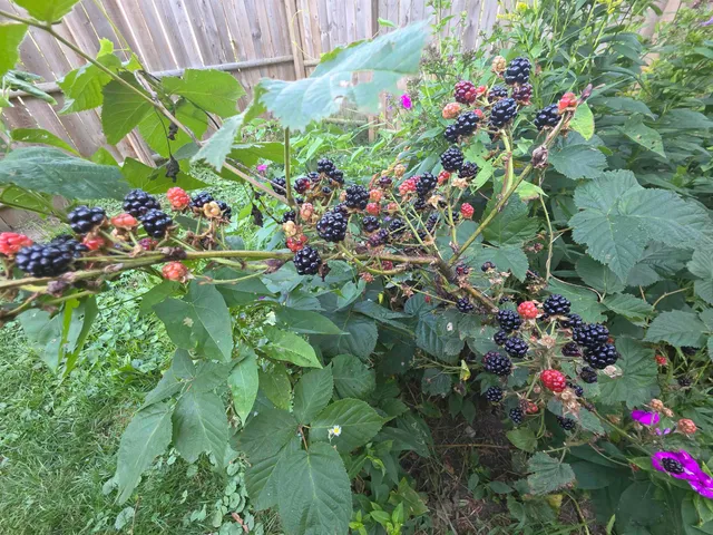 $215,000 | 1272 Highway 12, Northfield, VT 05663