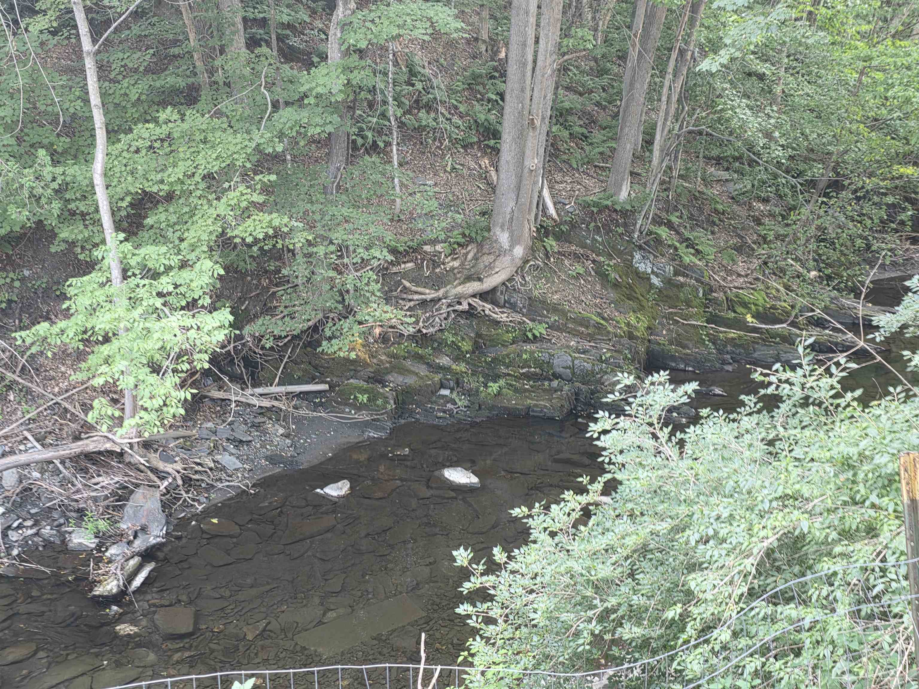 1272 Highway 12 Northfield, VT 05663 - Photo 46 of 49