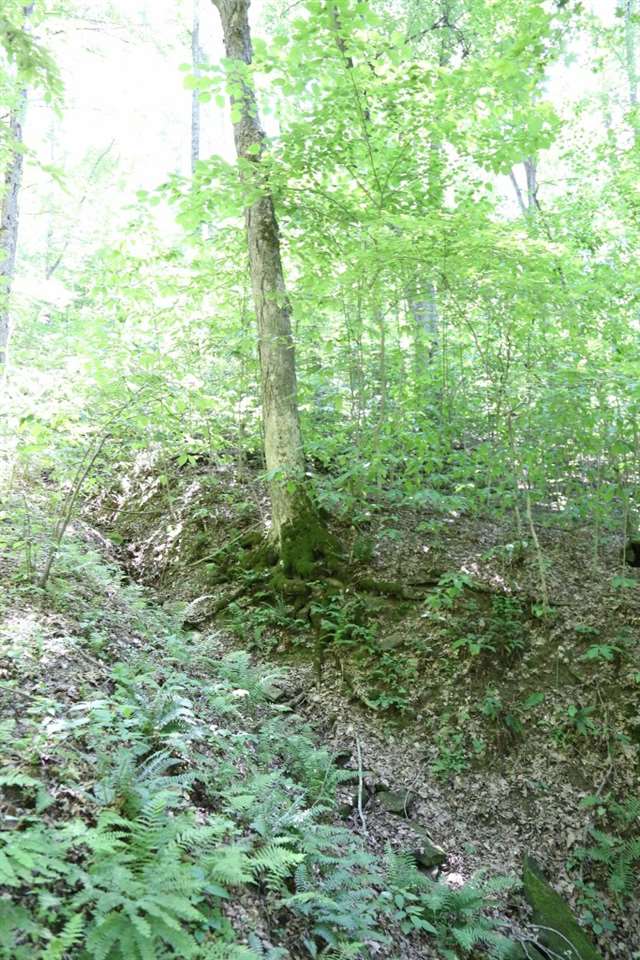 78.9-acres East Gilmore Rdg Road Nashville, IN 47448 - Photo 14 of 17