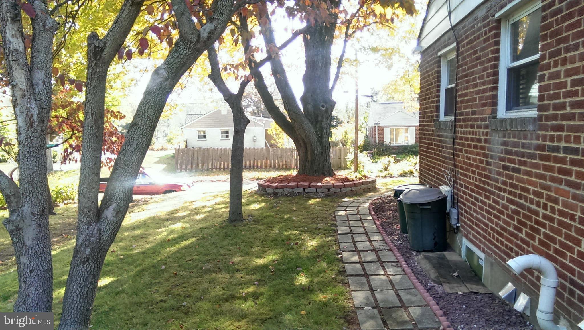 12102 Foley Street Silver Spring, MD 20902 - Photo 25 of 29 a view of a backyard with large trees