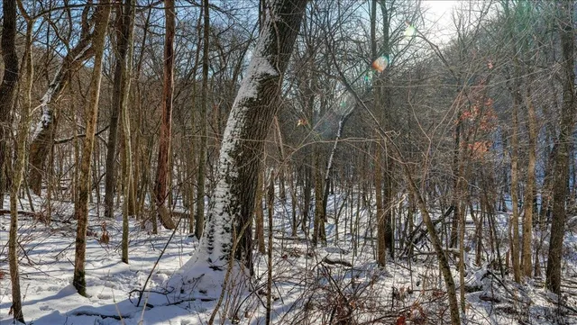 $1,295,000 | E1383 South Bad Axe, De Soto, WI 54624