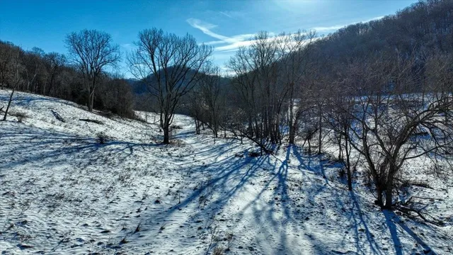 $1,295,000 | E1383 South Bad Axe, De Soto, WI 54624