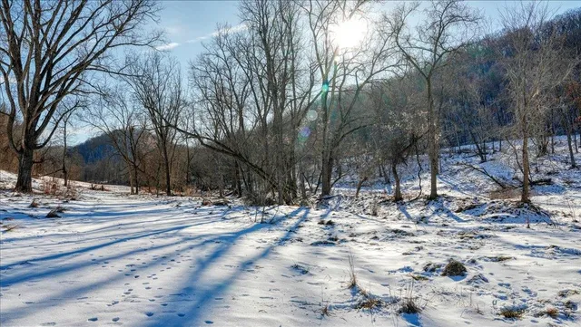 $1,295,000 | E1383 South Bad Axe, De Soto, WI 54624