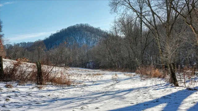 $1,295,000 | E1383 South Bad Axe, De Soto, WI 54624