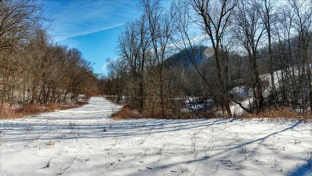 $1,295,000 | E1383 South Bad Axe, De Soto, WI 54624