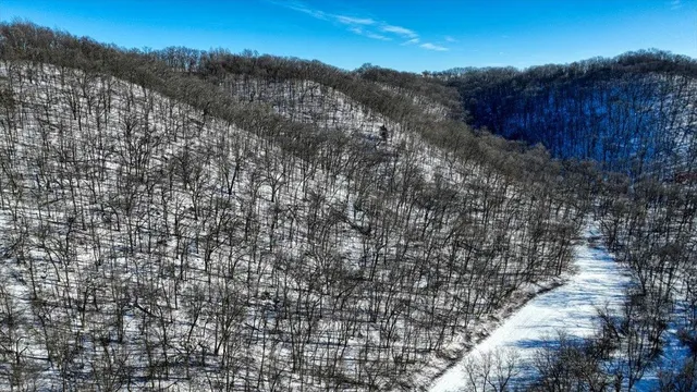 $1,295,000 | E1383 South Bad Axe, De Soto, WI 54624