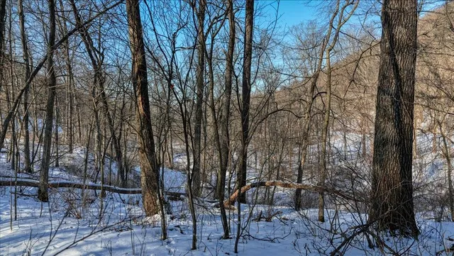 $1,295,000 | E1383 South Bad Axe, De Soto, WI 54624