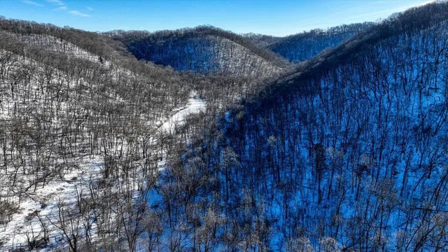 $1,295,000 | E1383 South Bad Axe, De Soto, WI 54624