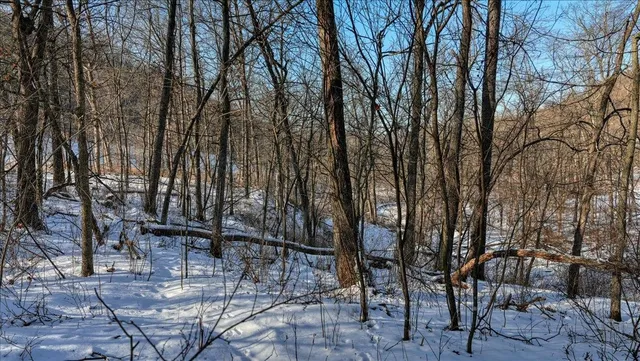 $1,295,000 | E1383 South Bad Axe, De Soto, WI 54624