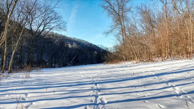 $1,295,000 | E1383 South Bad Axe, De Soto, WI 54624