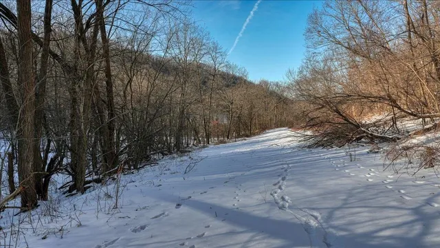 $1,295,000 | E1383 South Bad Axe, De Soto, WI 54624