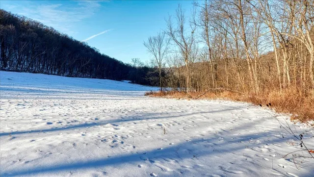 $1,295,000 | E1383 South Bad Axe, De Soto, WI 54624