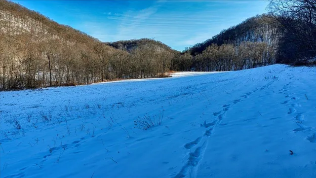 $1,295,000 | E1383 South Bad Axe, De Soto, WI 54624