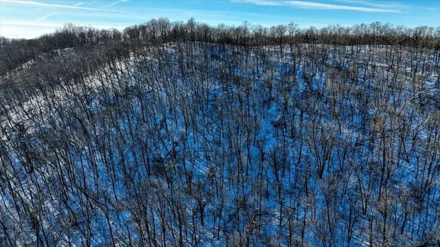 $1,295,000 | E1383 South Bad Axe, De Soto, WI 54624