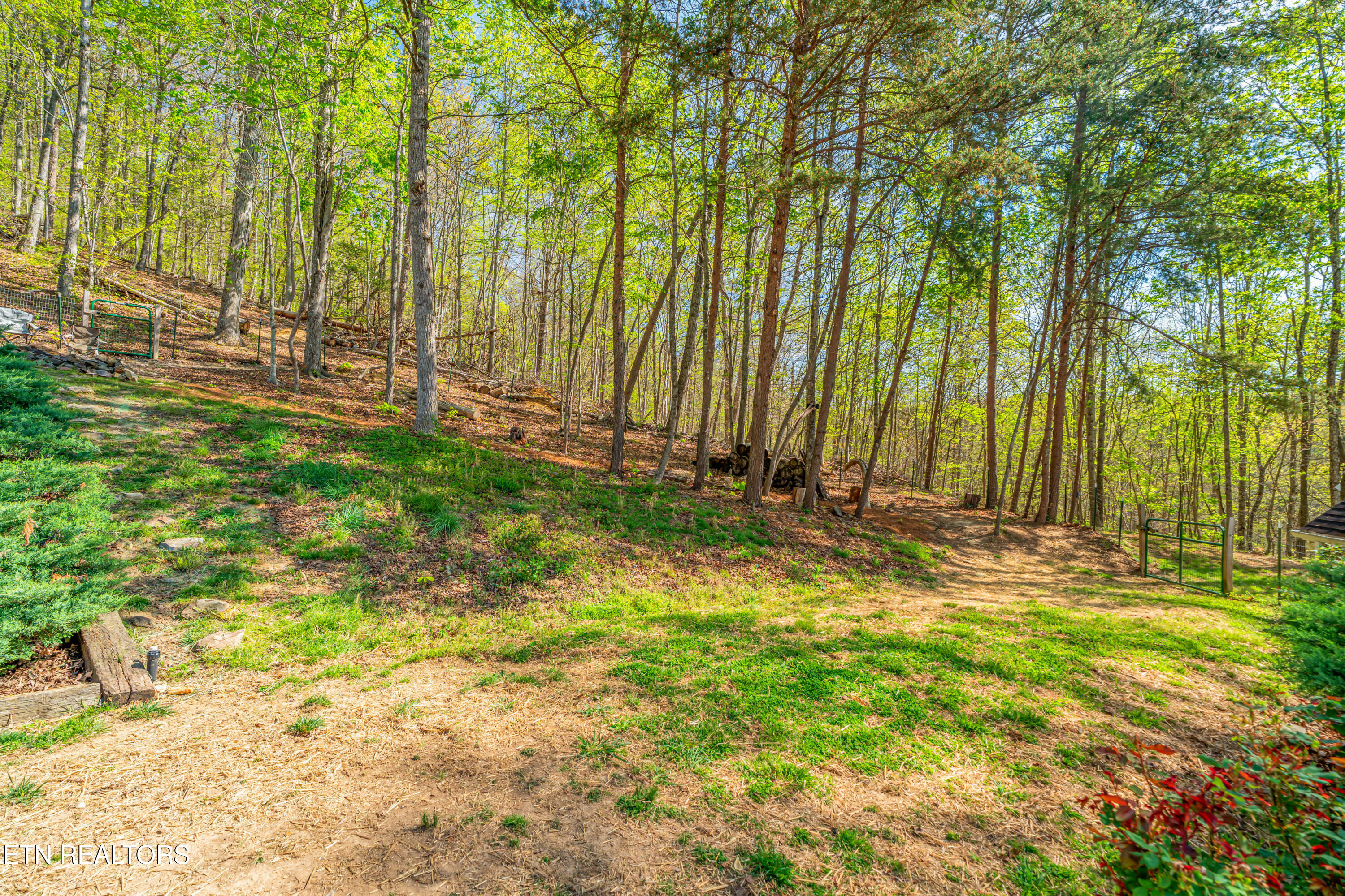 281 Lone Mountain Road Andersonville, TN 37705 - Photo 36 of 43 35-print-281 Lone Mountain Road-29