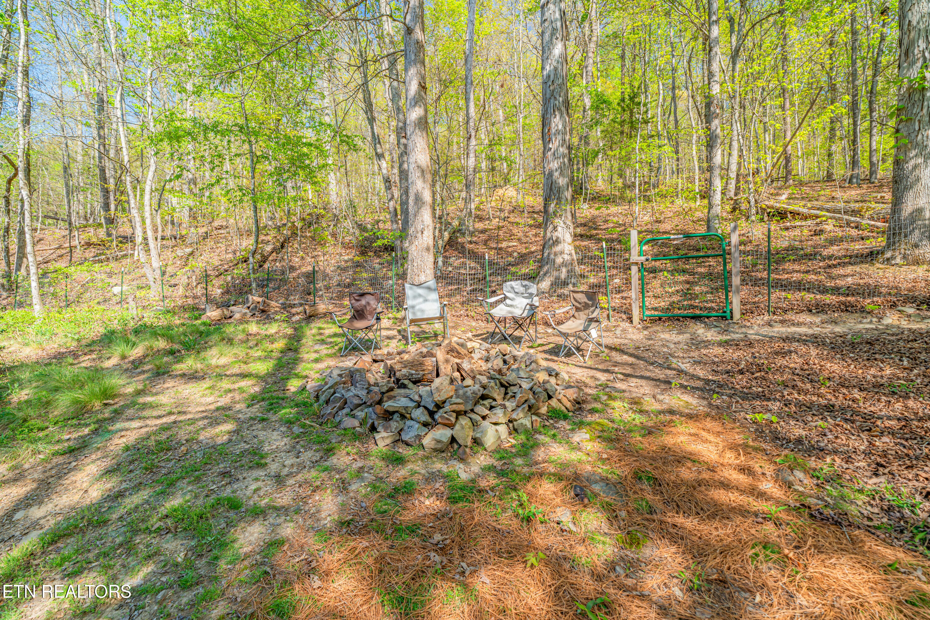 281 Lone Mountain Road Andersonville, TN 37705 - Photo 38 of 43 37-print-281 Lone Mountain Road-31