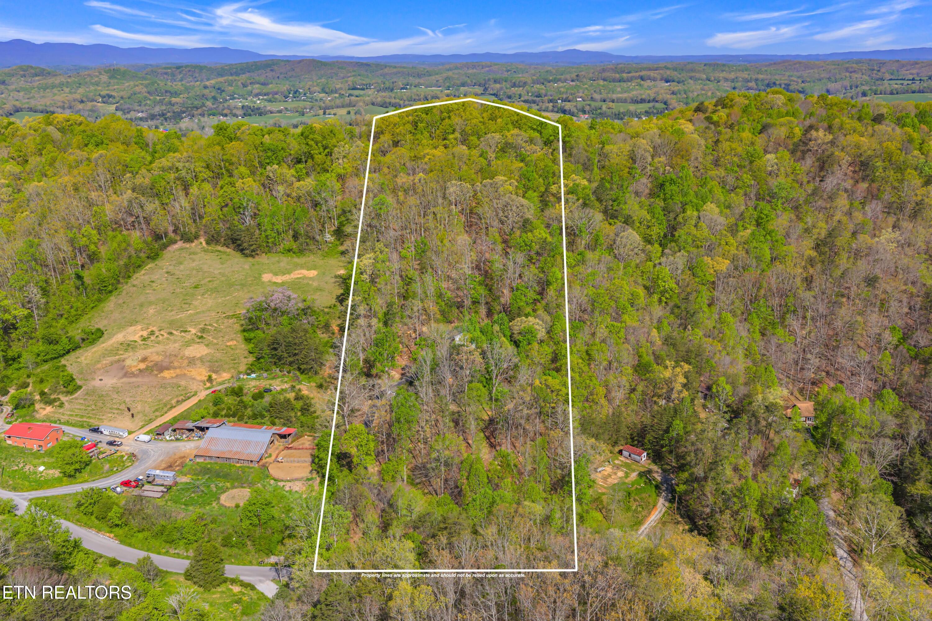 281 Lone Mountain Road Andersonville, TN 37705 - Photo 39 of 43 55-print-281 Lone Mountain Road-58-1