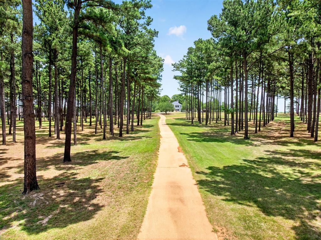 Welcome to 1201 Robbins Road. Upon arriving at the gated entrance, you're greeted with mature pine trees towering the private concrete driveway. 