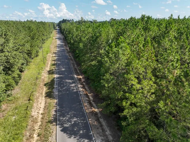 a view of a pathway in a garden
